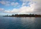 WhaleWatching 002